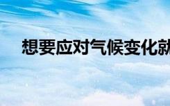 想要应对气候变化就必须种植1万亿棵树