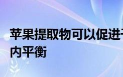 苹果提取物可以促进干细胞再生并帮助维持体内平衡