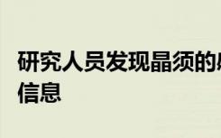 研究人员发现晶须的感觉神经元主要编码机械信息