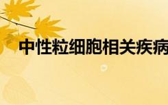 中性粒细胞相关疾病研究受益于模型优化