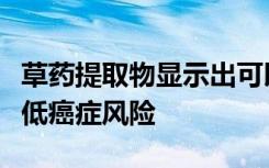 草药提取物显示出可以增强脑力与性能力并降低癌症风险