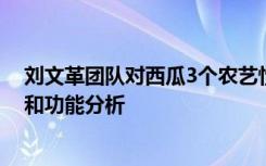 刘文革团队对西瓜3个农艺性状的重要功能基因进行了挖掘和功能分析