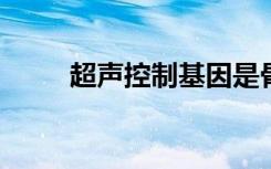 超声控制基因是骨再生的可行方法