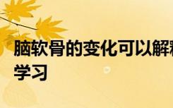 脑软骨的变化可以解释为什么睡眠可以帮助您学习