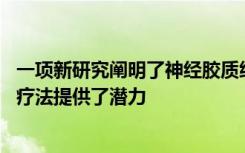 一项新研究阐明了神经胶质细胞在癫痫发作中的作用 并为新疗法提供了潜力