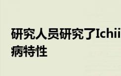 研究人员研究了Ichiigashi橡木木耳的抗糖尿病特性