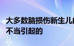 大多数脑损伤新生儿的情况不是由于分娩管理不当引起的