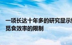 一项长达十年多的研究显示鲸鱼庞大能力受到猎物可用性和觅食效率的限制