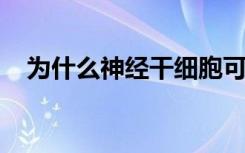 为什么神经干细胞可能容易感染寨卡病毒