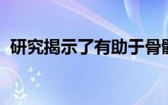 研究揭示了有助于骨骼维护和修复的新机制