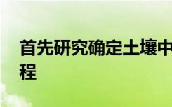 首先研究确定土壤中新RNA杀虫剂命运的过程