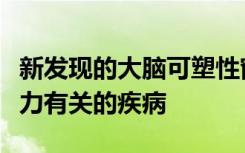 新发现的大脑可塑性窗口可能有助于治疗与压力有关的疾病