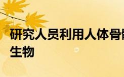 研究人员利用人体骨骼来研究可预测的死后微生物