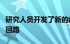 研究人员开发了新的病毒工具以安全追踪大脑回路