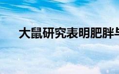 大鼠研究表明肥胖与味觉反应降低有关