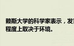 赖斯大学的科学家表示，发育胚胎中的细胞如何沟通在很大程度上取决于环境。