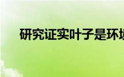 研究证实叶子是环境健康的复杂传感器