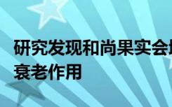 研究发现和尚果实会增强干细胞功能并产生抗衰老作用