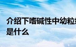 介绍下嗜碱性中幼粒细胞在电镜下的超微结构是什么