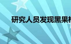 研究人员发现黑果枸杞促血管生成能力