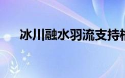 冰川融水羽流支持格陵兰浮游植物绽放