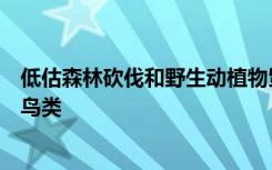 低估森林砍伐和野生动植物贸易的综合威胁将推动东南亚的鸟类