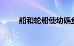 船和轮船使幼礁鱼易受捕食者侵害