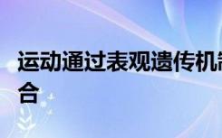 运动通过表观遗传机制促进啮齿动物的脊髓愈合