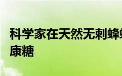 科学家在天然无刺蜂蜂蜜中发现一种罕见的健康糖