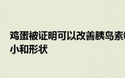 鸡蛋被证明可以改善胰岛素敏感性并改变坏LDL胆固醇的大小和形状