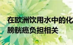 在欧洲饮用水中的化学物质暴露与每年5％的膀胱癌负担相关