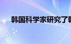 韩国科学家研究了韩国红参的抗炎特性