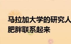 马拉加大学的研究人员将DNA甲基化水平与肥胖联系起来