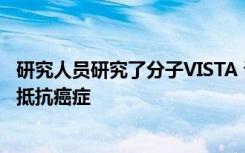 研究人员研究了分子VISTA 该分子可使免疫系统保持安静以抵抗癌症