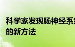 科学家发现肠神经系统提供了研究胃肠道疾病的新方法