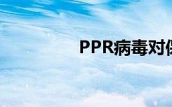 PPR病毒对保护构成威胁