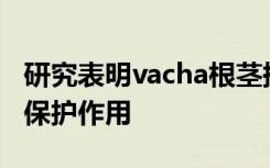 研究表明vacha根茎提取物具有抗氧化损伤的保护作用