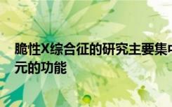 脆性X综合征的研究主要集中于遗传缺陷如何改变大脑神经元的功能