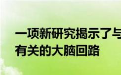 一项新研究揭示了与ASD的社交和行为异常有关的大脑回路