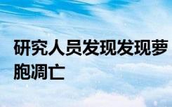 研究人员发现发现萝卜硫素可触发人结肠癌细胞凋亡