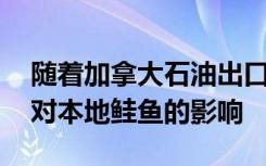 随着加拿大石油出口的增加 研究探索了原油对本地鲑鱼的影响