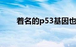 着名的p53基因也可以防止出生缺陷