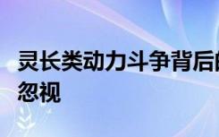 灵长类动力斗争背后的动荡常常被研究人员所忽视