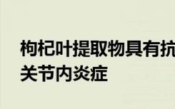 枸杞叶提取物具有抗氧化和抗炎作用 可减少关节内炎症