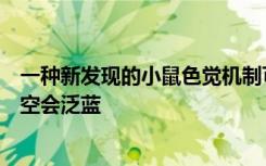 一种新发现的小鼠色觉机制可能有助于回答为什么昏暗的夜空会泛蓝