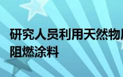 研究人员利用天然物质的特性发明了可再生的阻燃涂料