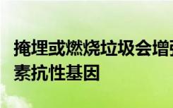 掩埋或燃烧垃圾会增强空气传播的细菌和抗生素抗性基因