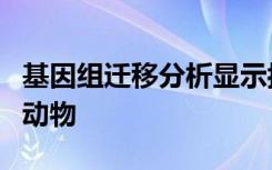 基因组迁移分析显示抗生素抗性从人类传播到动物