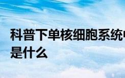 科普下单核细胞系统中原单核细胞的超微结构是什么