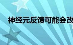 神经元反馈可能会改变我们所看到的实物